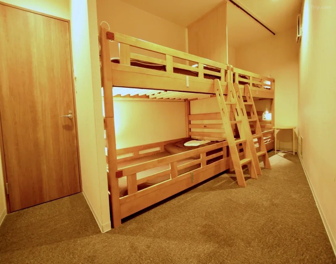 t_image,logo_tripbinary;ignoredefaultwm,1A8F