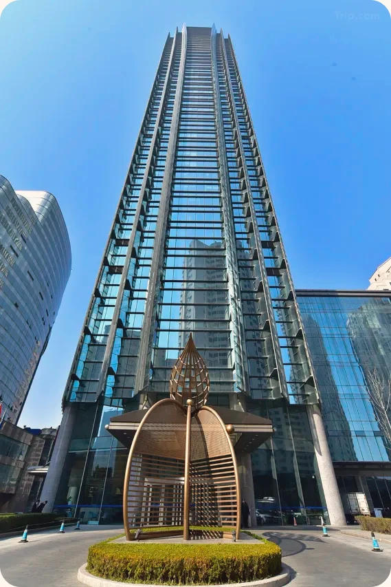 t_image,logo_tripbinary;ignoredefaultwm,1A8F