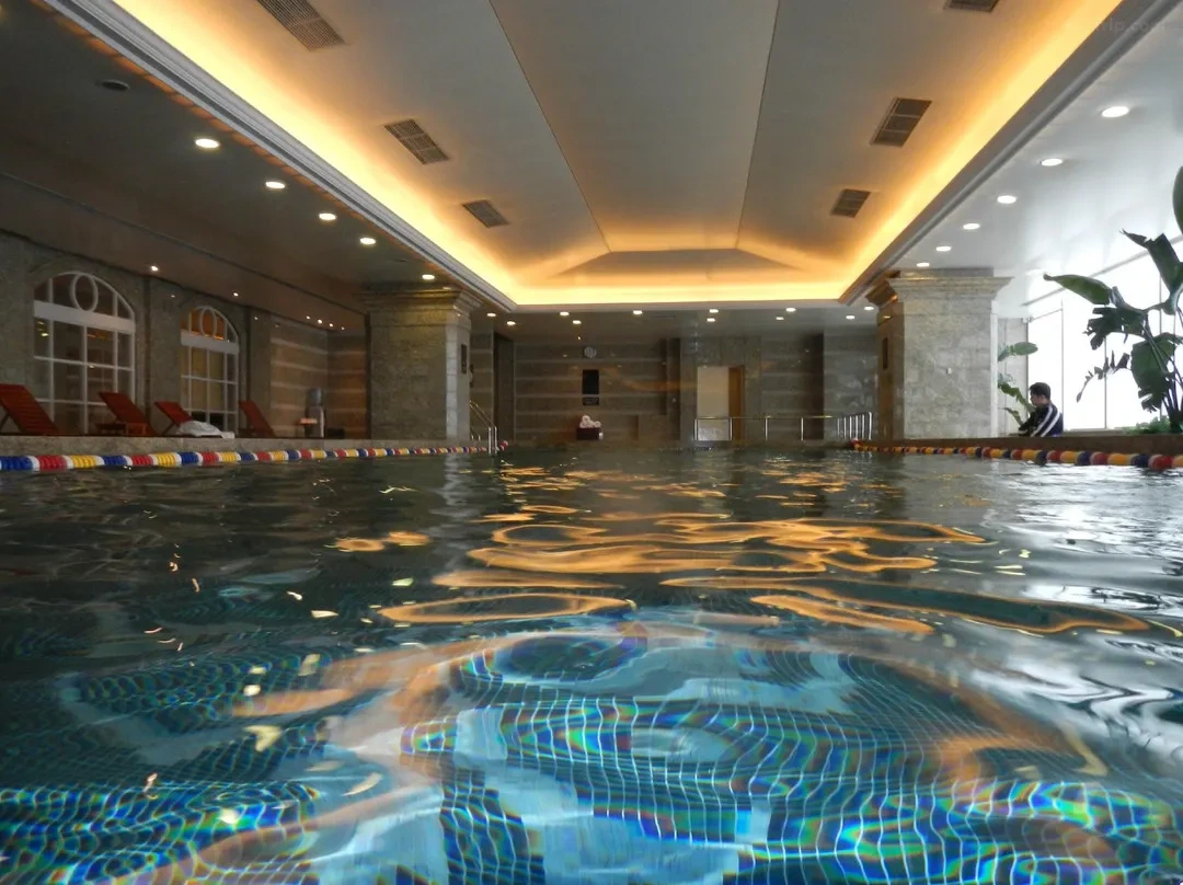 t_image,logo_tripbinary;ignoredefaultwm,1A8F