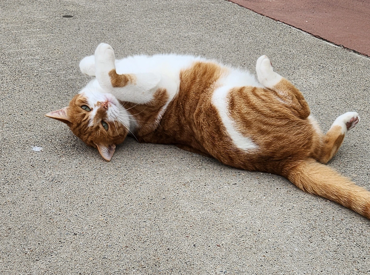 KakaoTalk_Photo_2023-10-10-15-15-25 006.jpeg