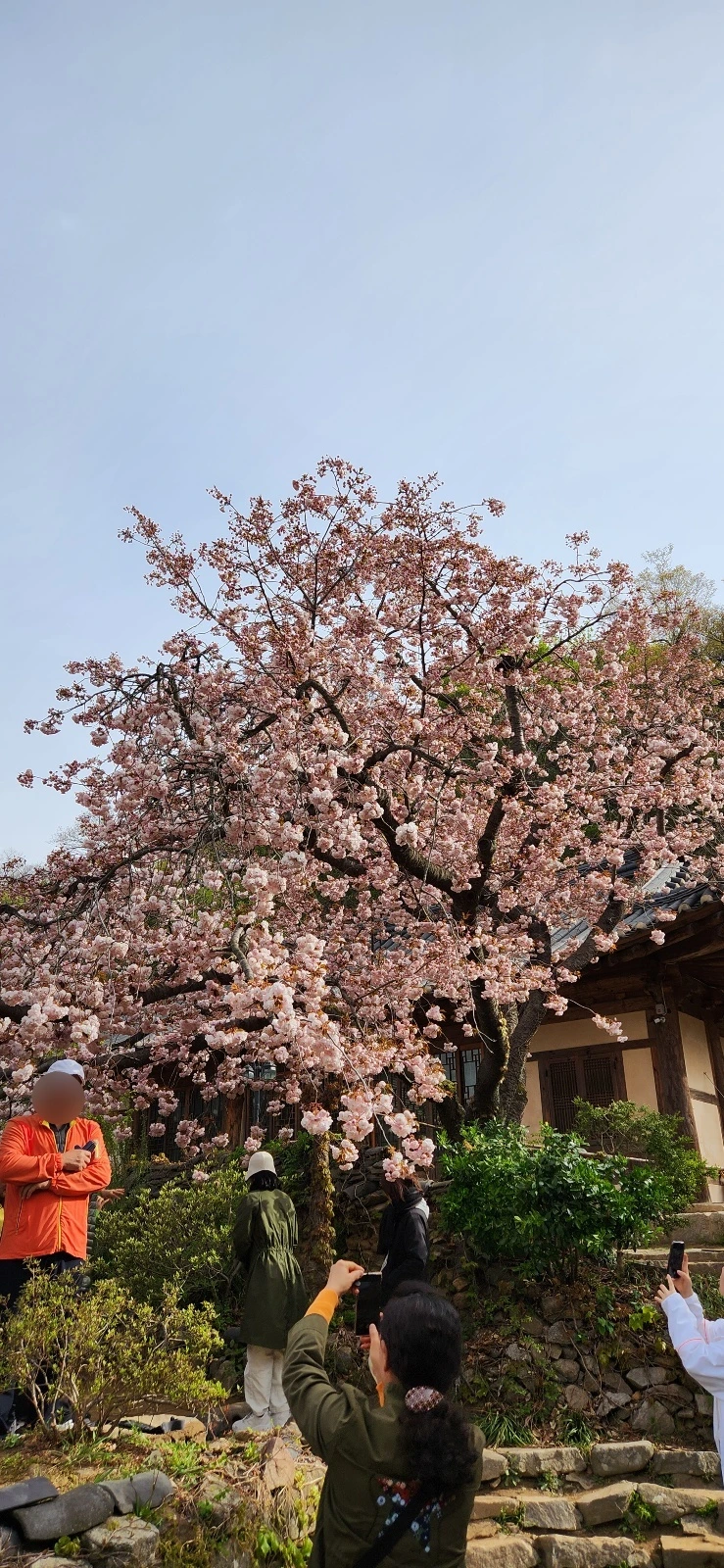 KakaoTalk_Photo_2023-05-31-17-13-36 007.jpeg