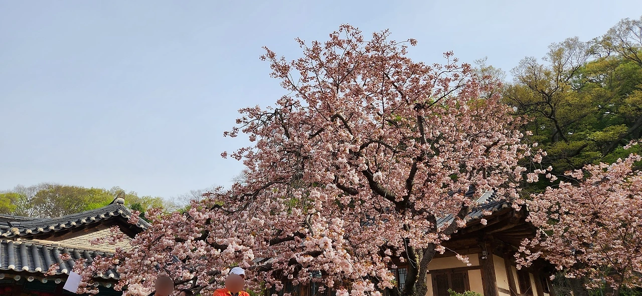 KakaoTalk_Photo_2023-05-31-17-13-36 006.jpeg