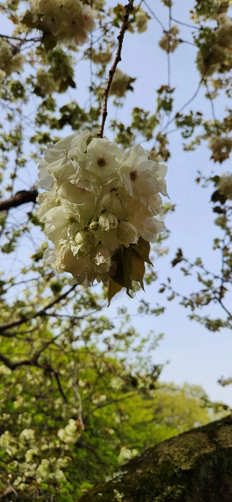 KakaoTalk_Photo_2023-05-31-17-13-35 002.jpeg