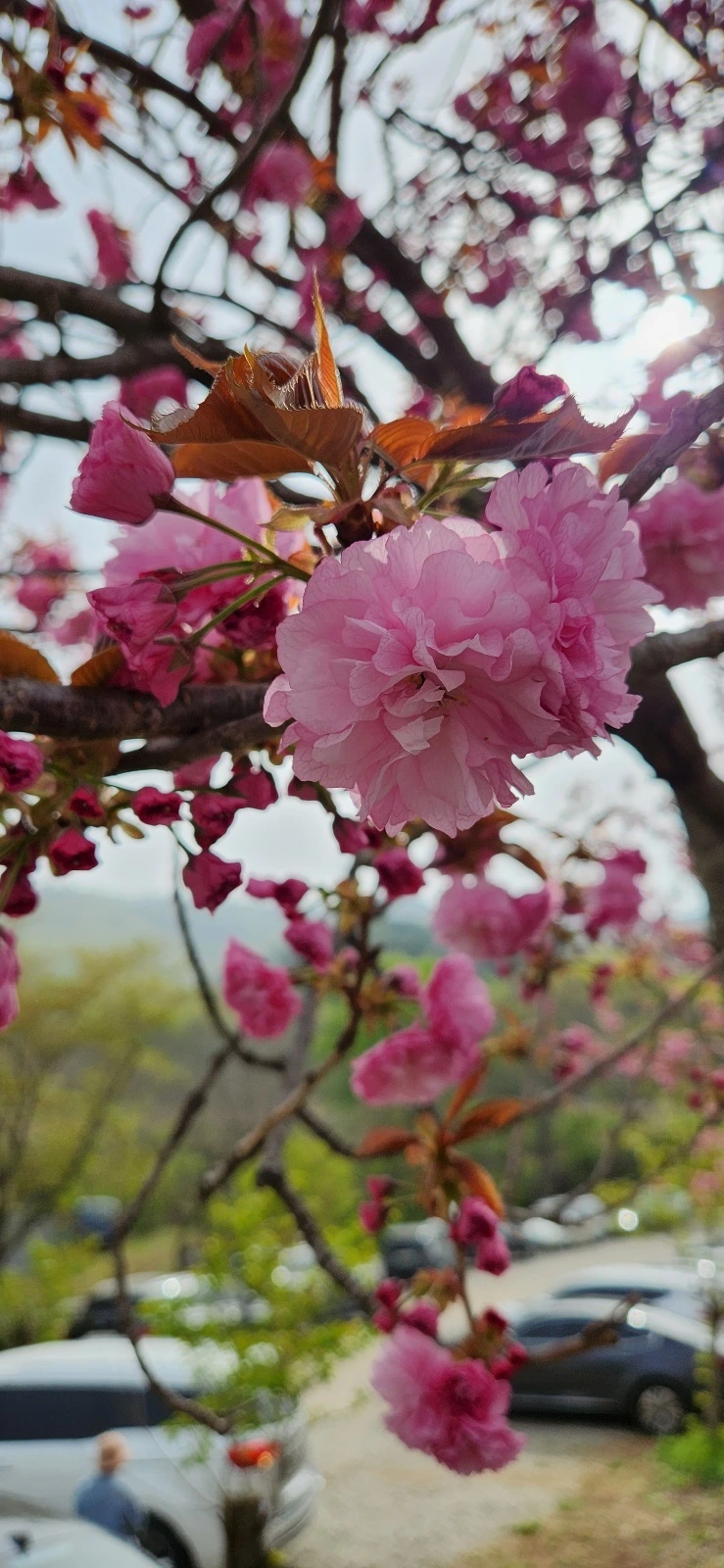 KakaoTalk_Photo_2023-05-31-17-13-36 008.jpeg