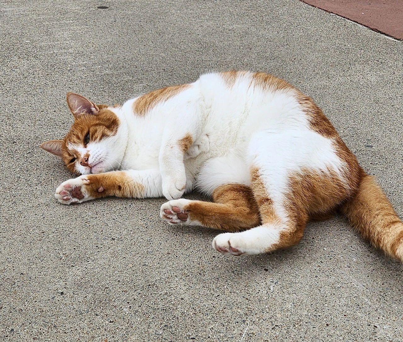 KakaoTalk_Photo_2023-10-10-15-15-25 005.jpeg