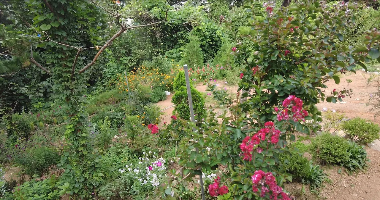 자연과 하나.JPG