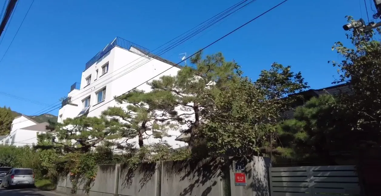 마당있는 집.JPG