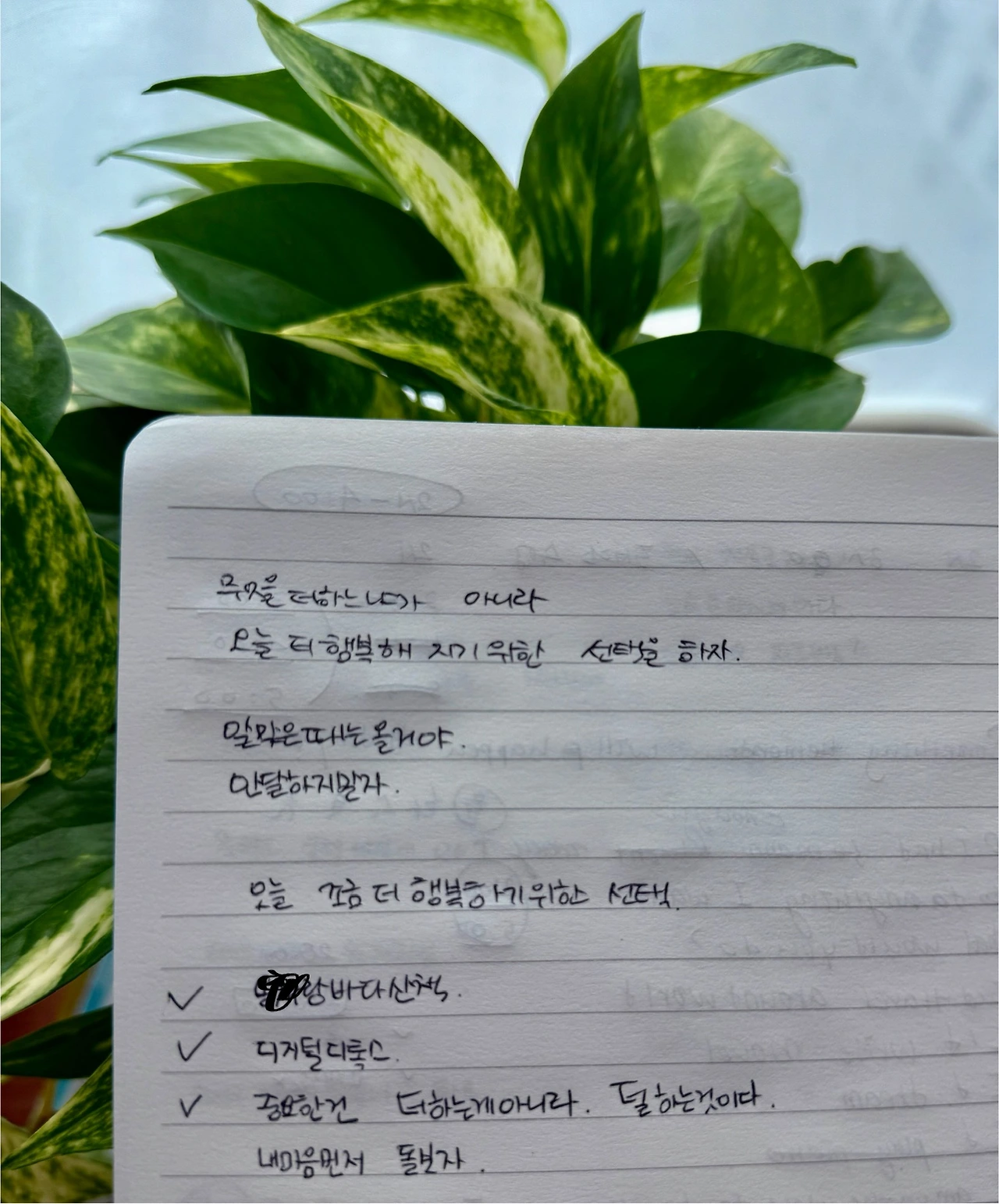 KakaoTalk_Photo_2025-09-14-10-03-20 001.jpeg