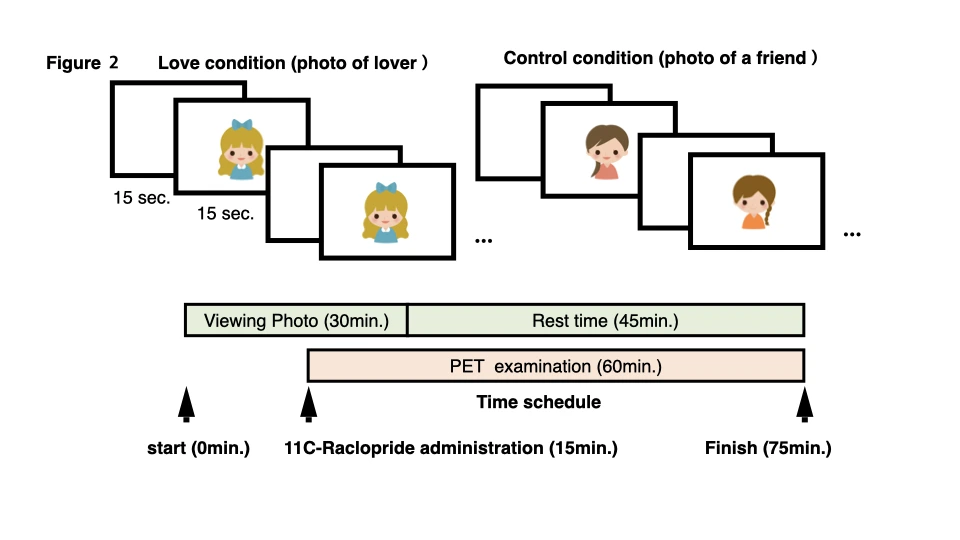 20210216Article06Figs 3.004.jpeg
