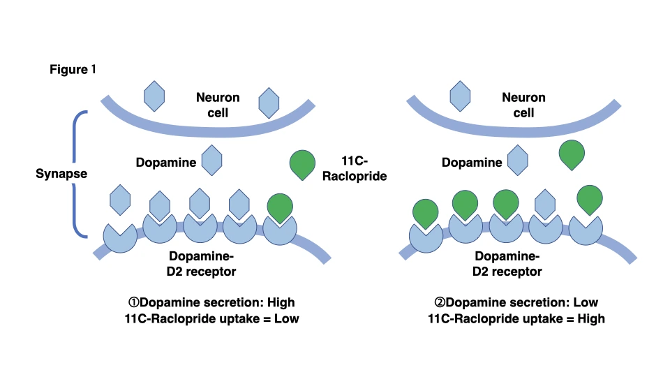 20210216Article06Figs 3.002.jpeg