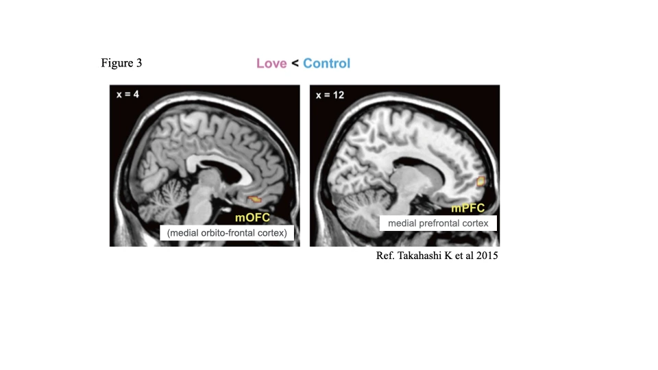20210216Article06Figs 3.005.jpeg