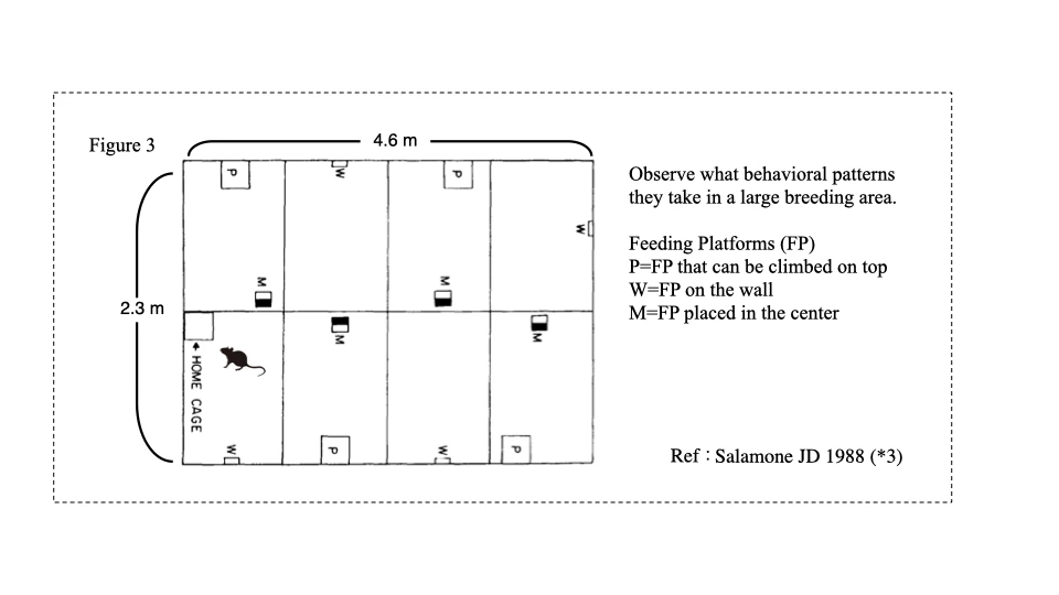 20210402article008Figs 2.005.jpeg