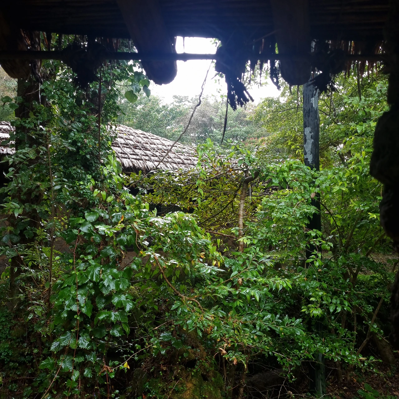 KakaoTalk_Photo_2023-10-01-18-16-21 011.jpeg