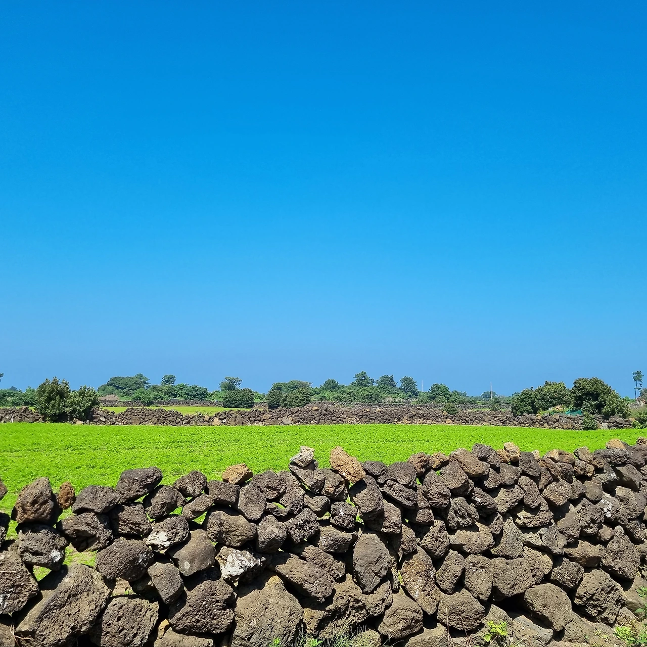 KakaoTalk_Photo_2023-10-01-18-16-14 004.jpeg