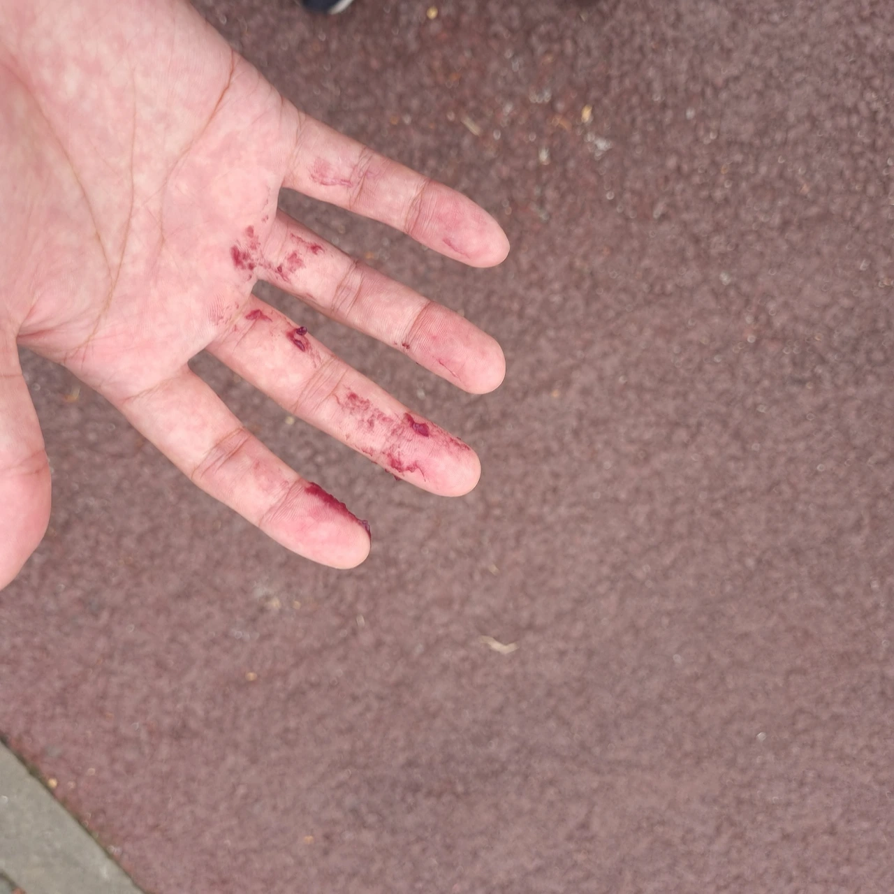 KakaoTalk_Photo_2023-10-06-18-02-25 001.jpeg