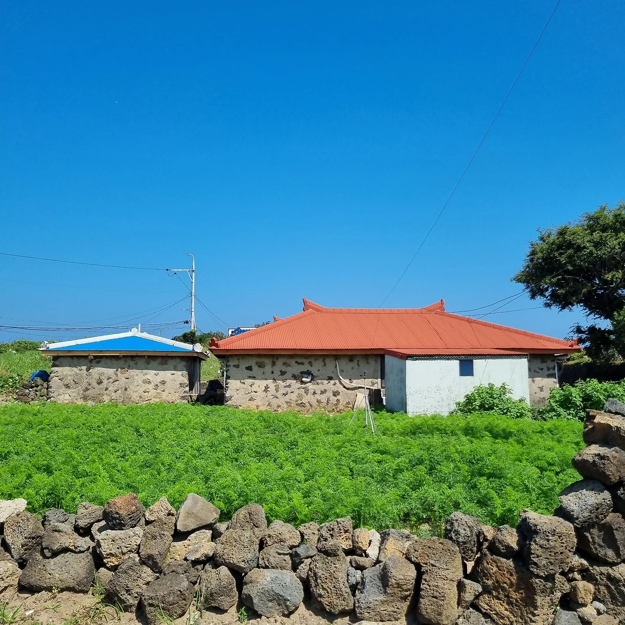 KakaoTalk_Photo_2023-10-01-18-16-12 002.jpeg