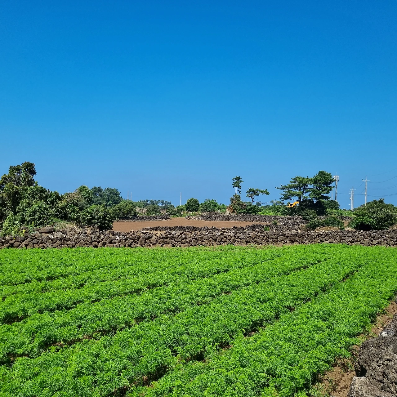 KakaoTalk_Photo_2023-10-01-18-16-15 005.jpeg