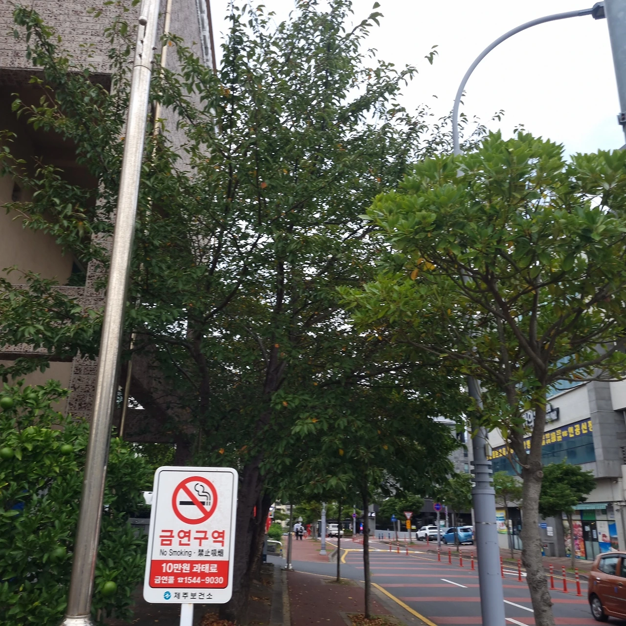 KakaoTalk_Photo_2023-10-06-18-02-26 002.jpeg