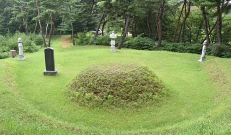 art_16949157103491_84923e.png?iqs=0.7316829231408655