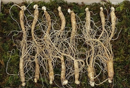 art_1697109312558_a68f96.png?iqs=0.28101527986599195