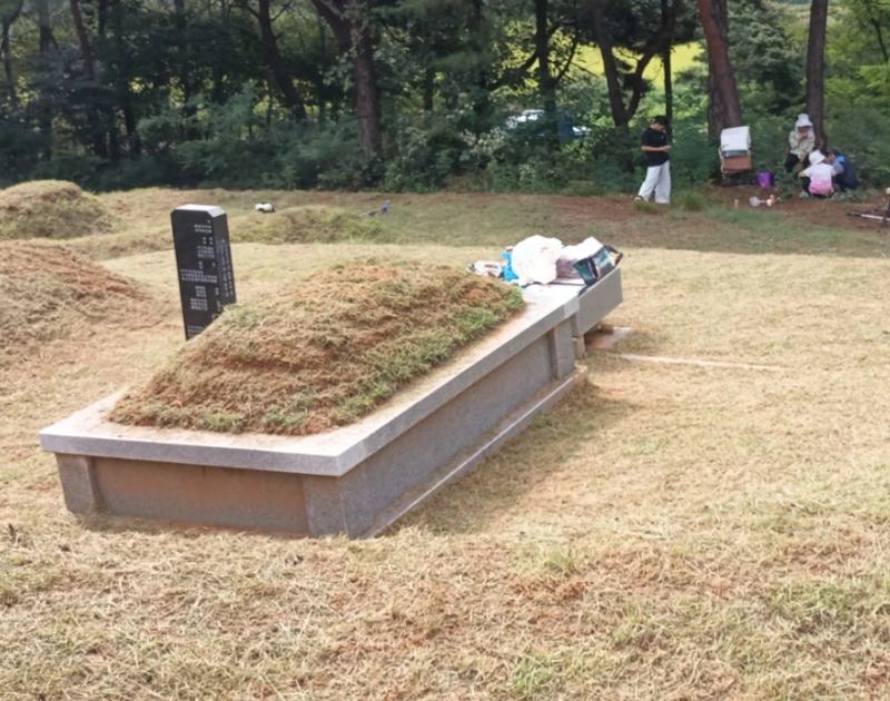 art_16939132863052_260b5f.png?iqs=0.1504200387237984