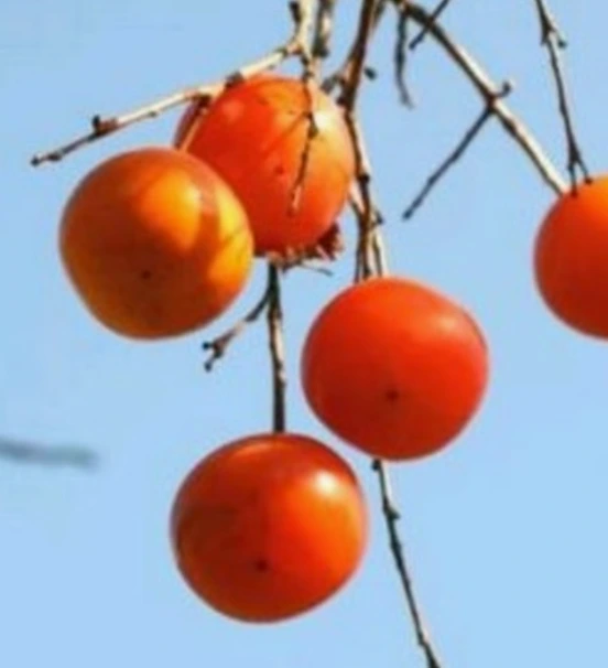 art_16986928966521_9a8c1b.png?iqs=0.05388034210620951