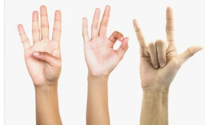 art_16987846034969_341374.png?iqs=0.8631105664872865