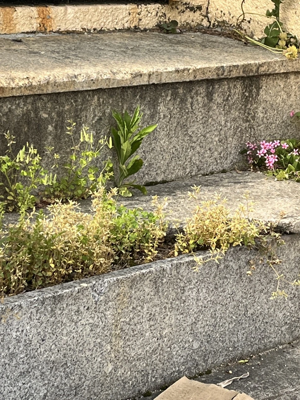 KakaoTalk_20240429_110758226.jpg?type=w966