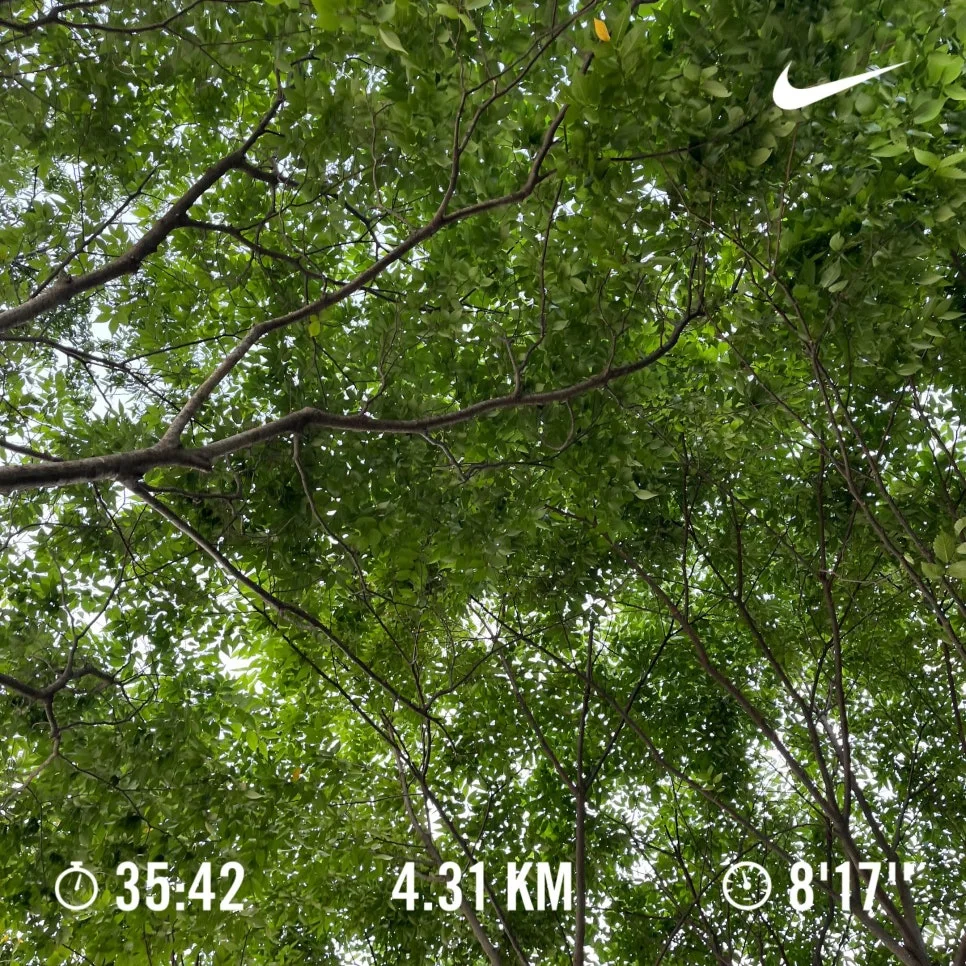 KakaoTalk_20240626_085342353.jpg?type=w966