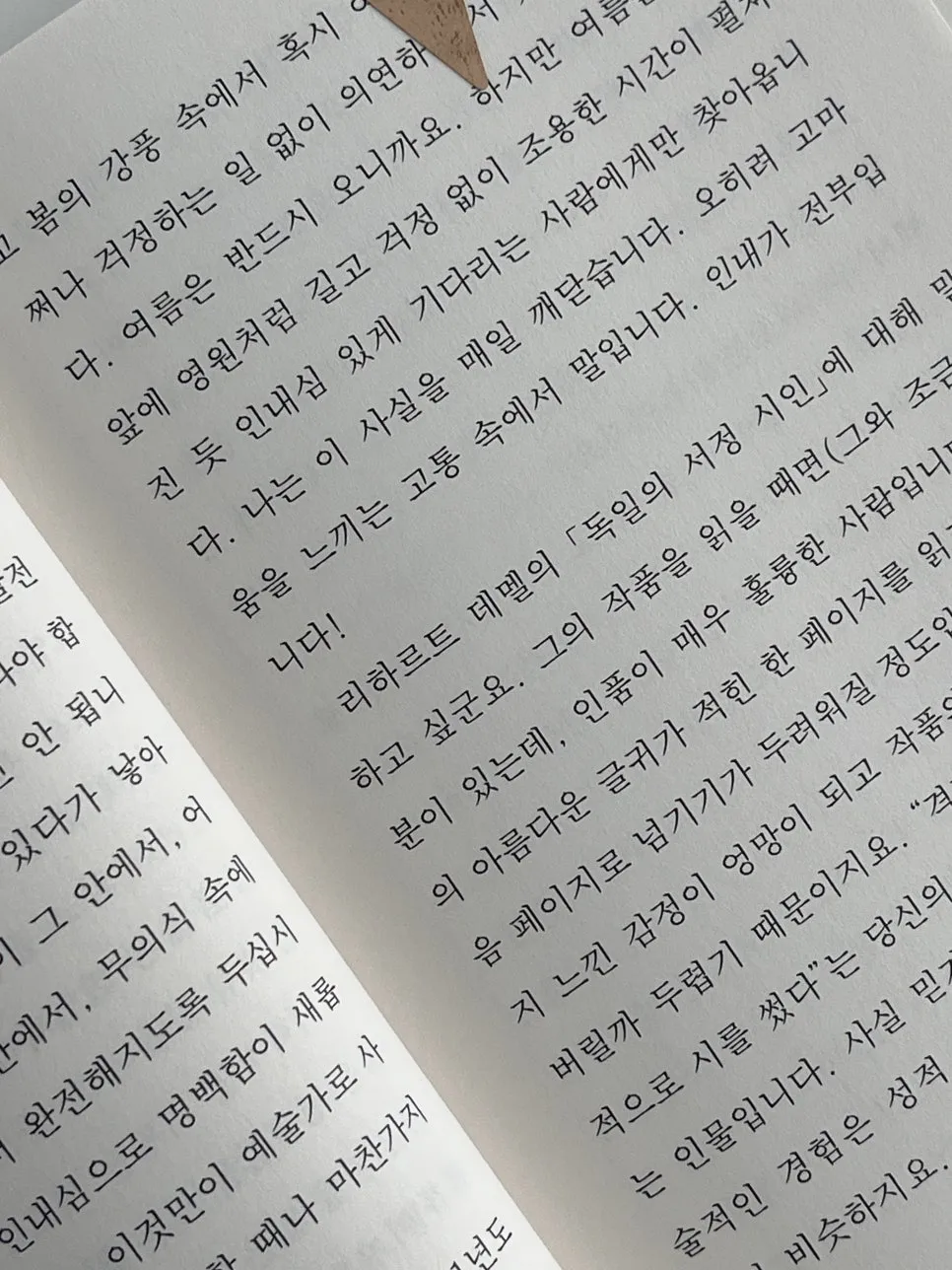 KakaoTalk_20240527_113644844.jpg?type=w966