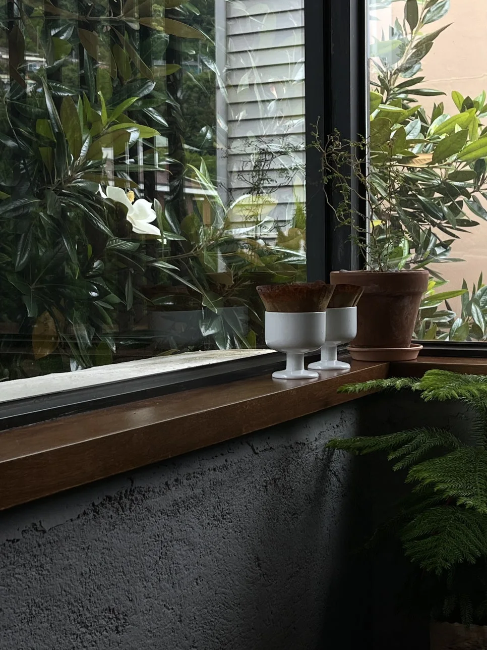 KakaoTalk_20240624_102827756.jpg?type=w966