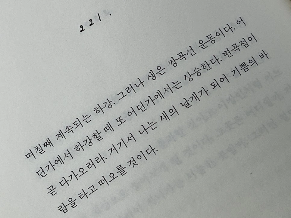 KakaoTalk_20240125_114346094_01.jpg?type=w966