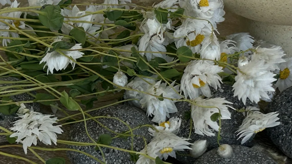 KakaoTalk_20240318_163350382_04.jpg?type=w966