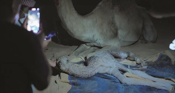 1674_6358_3218.jpg?type=w1200