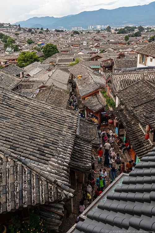 5p_%EB%A6%AC%EC%9E%A5%EA%B3%A0%EC%84%B1_20230810-IMG_4539.jpg?type=w1200