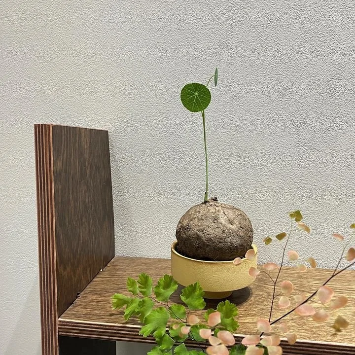 4FDB0B70-9CB7-489F-911E-A76D7DAD89FB.jpg?type=w1200