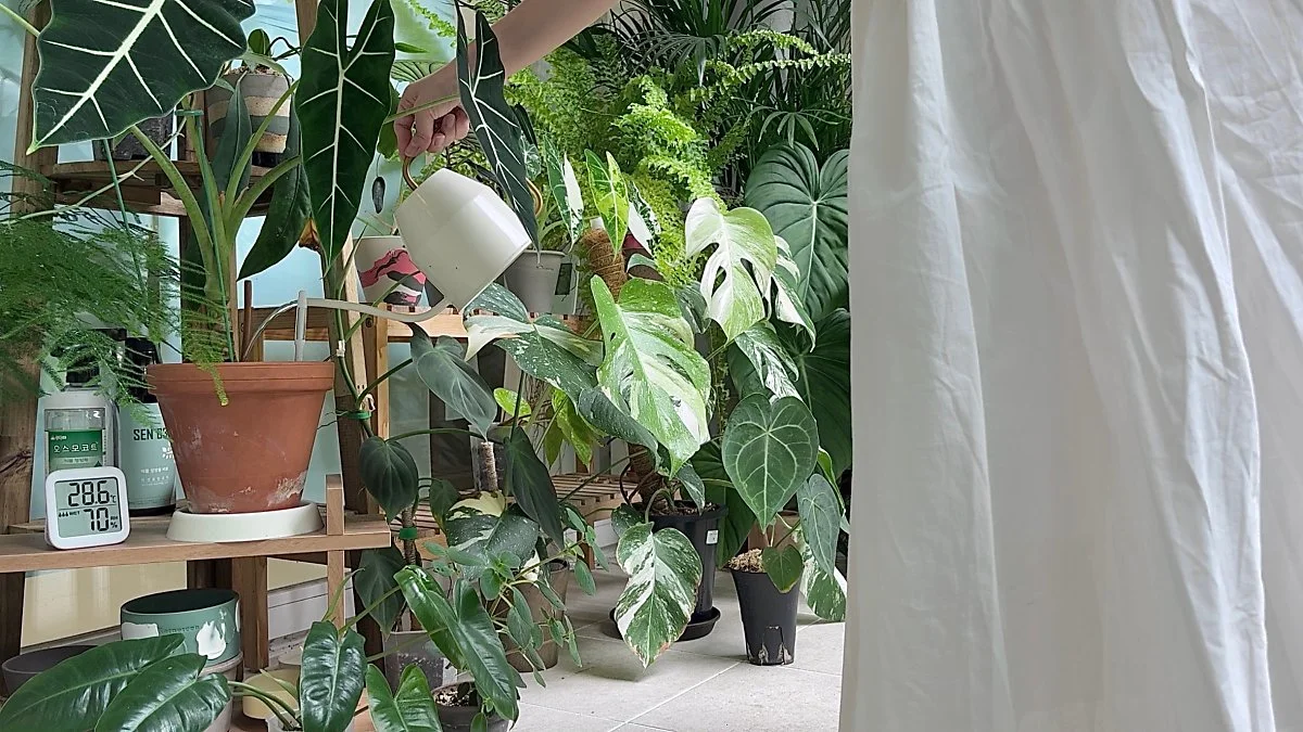 IMG_1305.jpeg?type=w1200