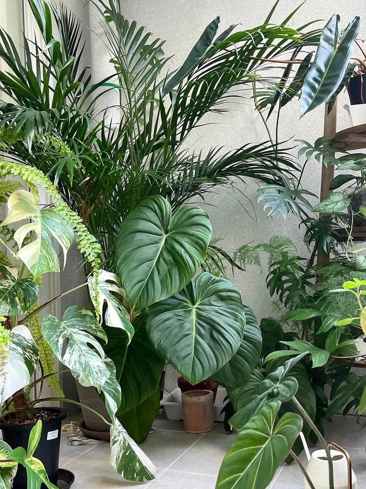 IMG_1632.jpeg?type=w1200