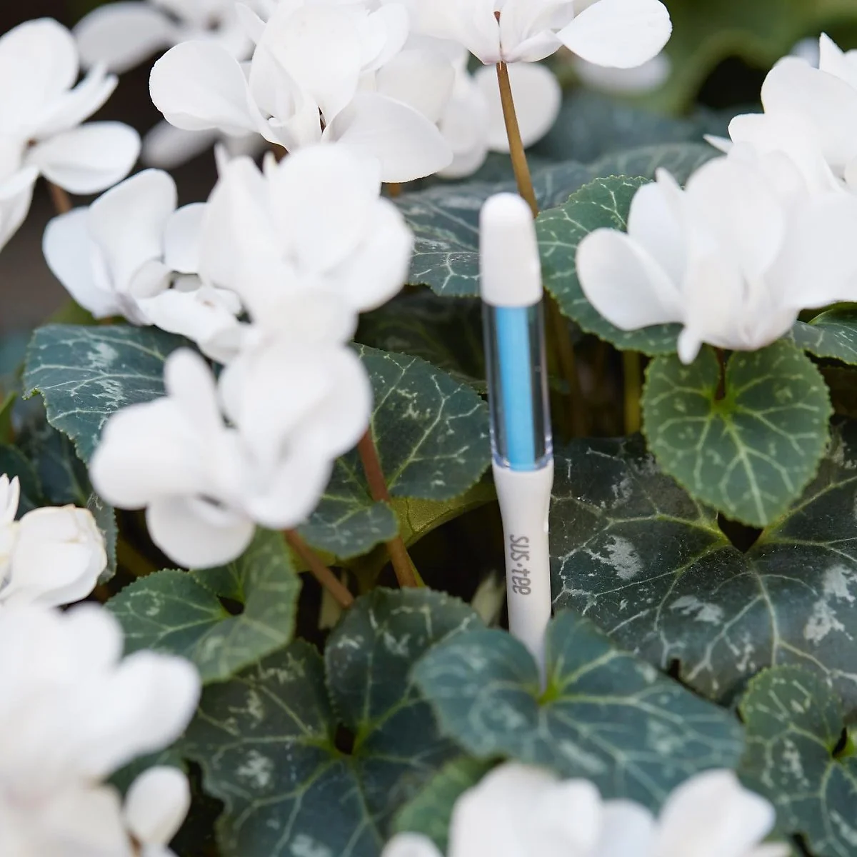 tjtmxl.jpg?type=w1200