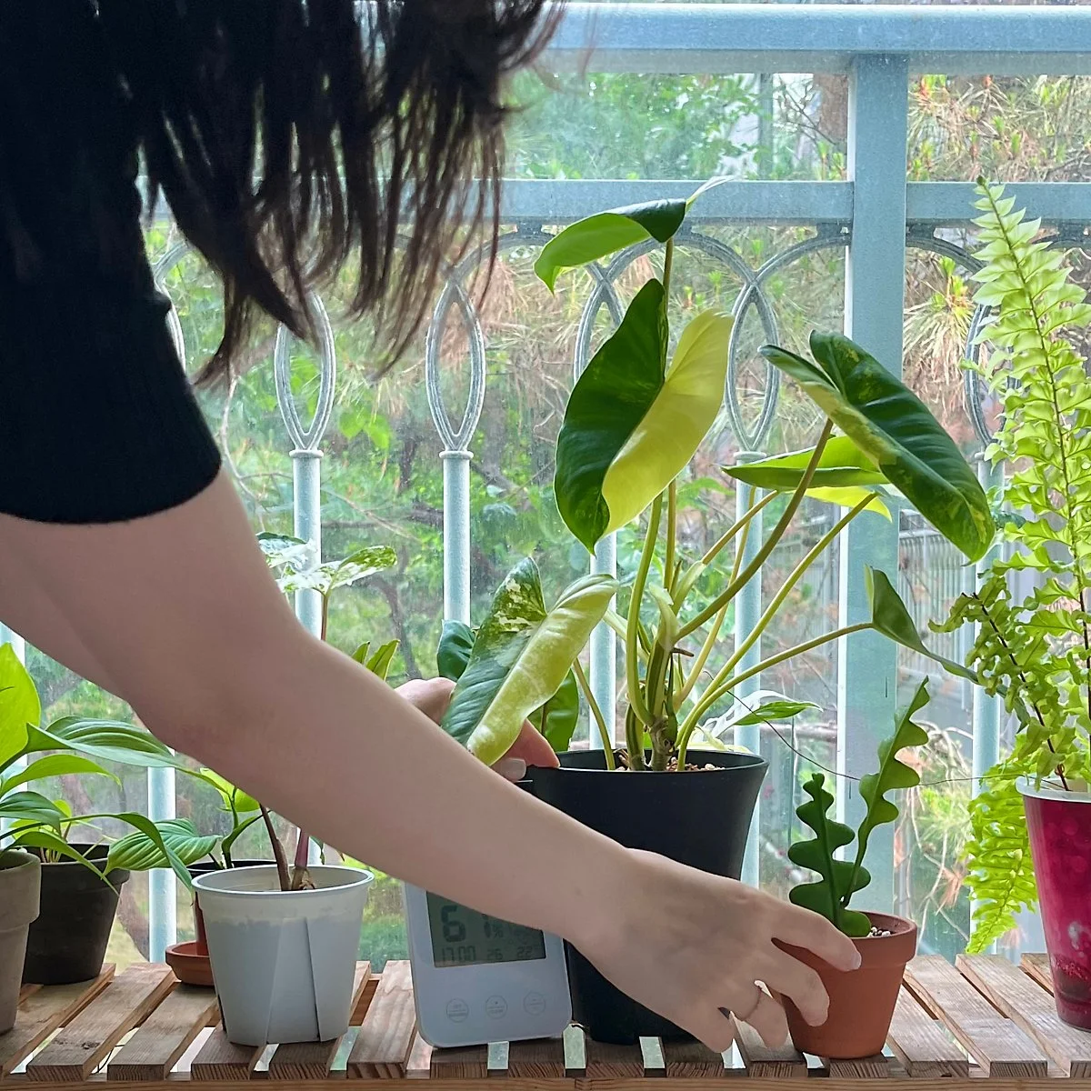 IMG_5396.jpeg?type=w1200