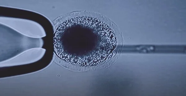 1674_6354_2959.jpg?type=w1200