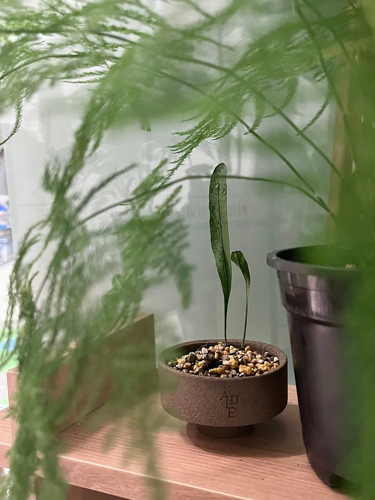 %EC%98%A4%EB%B8%8C.jpeg?type=w1200