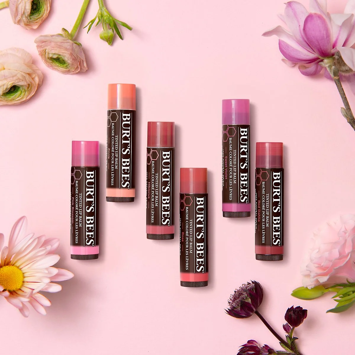 91050174_2477311832373773_318118057132163072_n.jpg?type=w1200