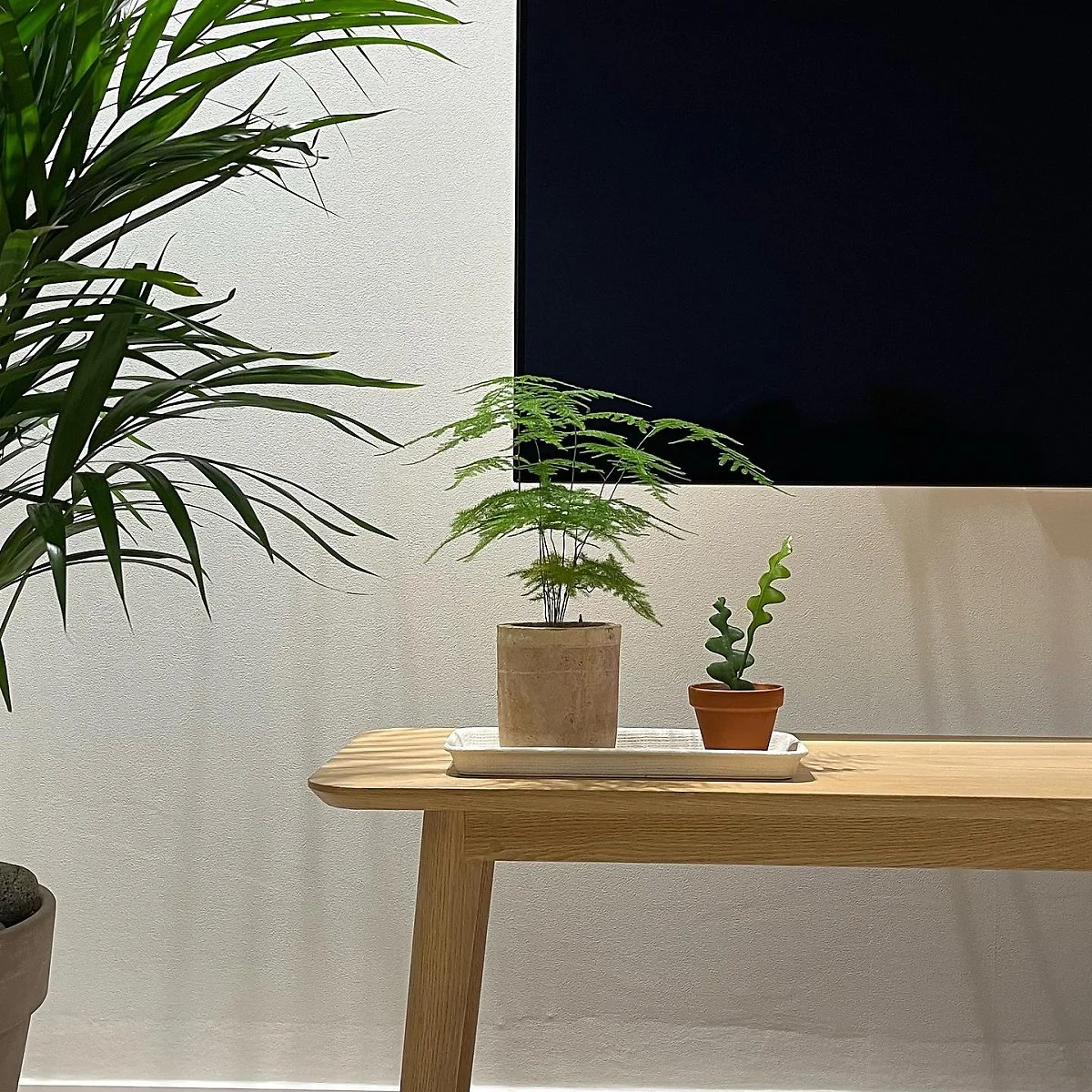 744199FE-2A31-41CC-A8DA-F891BE95852A.jpeg?type=w1200