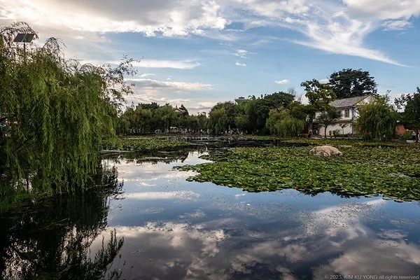 4p_%EC%8B%9C%EC%A0%80%EC%9A%B0%EA%B3%A0%EC%A7%84_20230809-IMG_4472.jpg?type=w1200