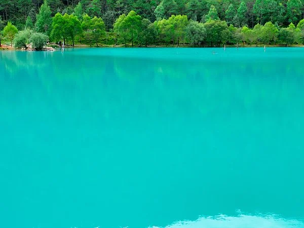 6p_%EB%9E%80%EC%9C%84%EC%97%90%EA%B5%AC_IMG_4230.jpg?type=w1200