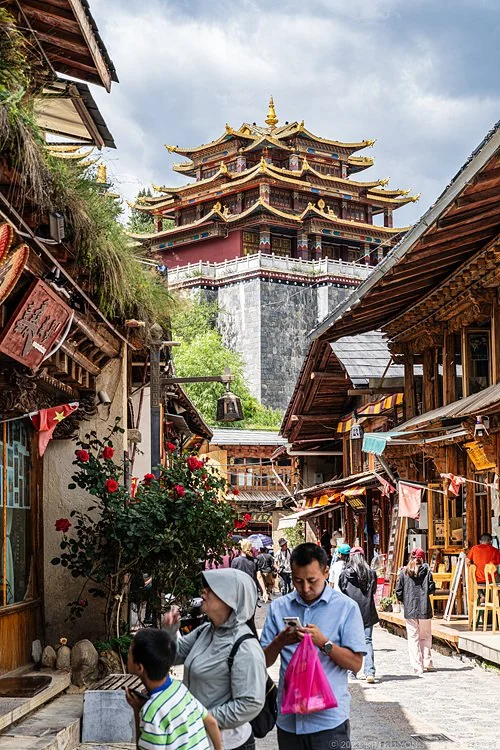 9p_%EC%83%B9%EA%B7%B8%EB%A6%B4%EB%9D%BC_20230816-_DSC8166.jpg?type=w1200