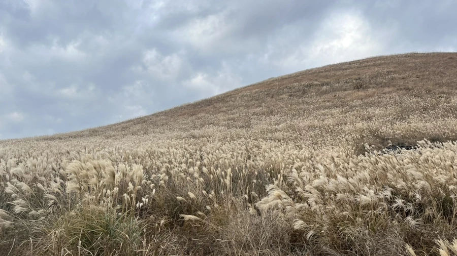 IMG_5966.jpg?type=w966