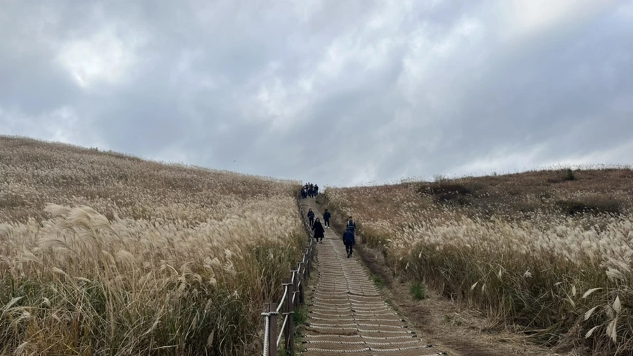 IMG_5940.jpg?type=w966