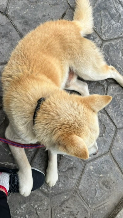 IMG_8887.jpg?type=w466